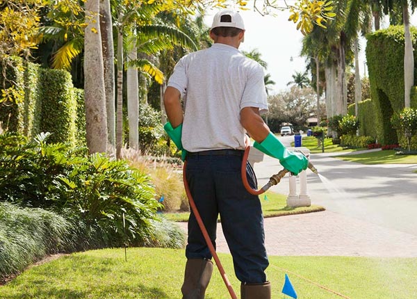 About Linden NC Pest Control